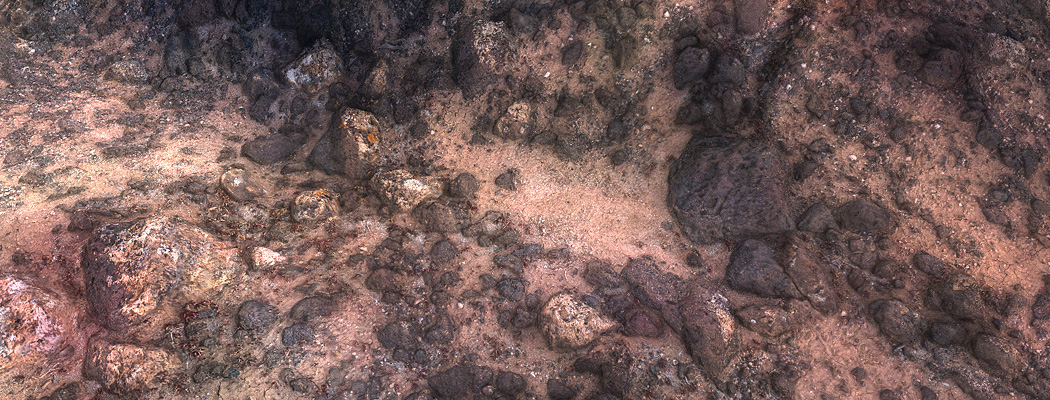 Ground detail, shaded view